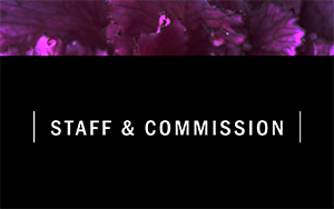 Staff